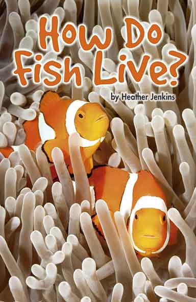 How Do Fish Live?
