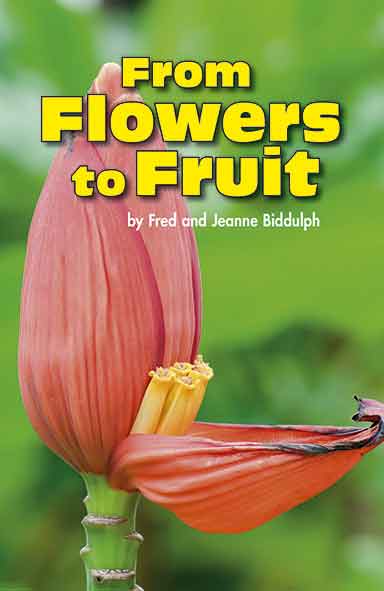 From Flowers to Fruit